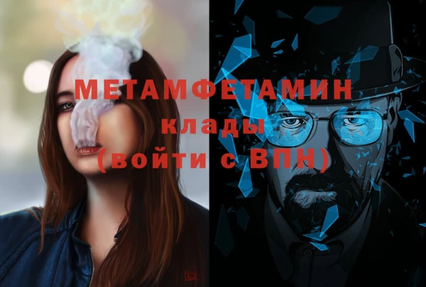 прущие грибы Осинники