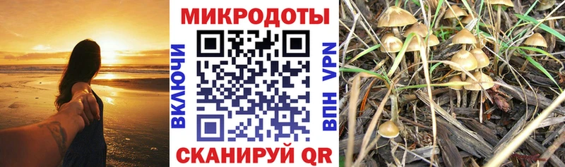 купить наркотик  Сальск  Галлюциногенные грибы мухоморы 