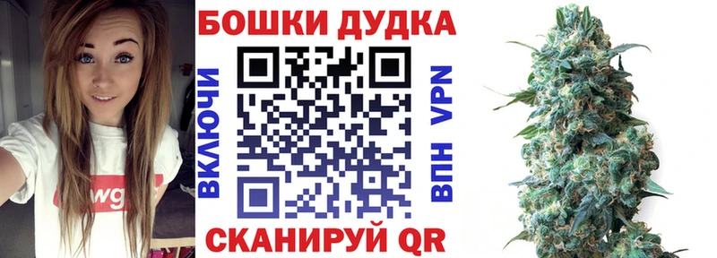 купить  цена  Сальск  Конопля MAZAR 
